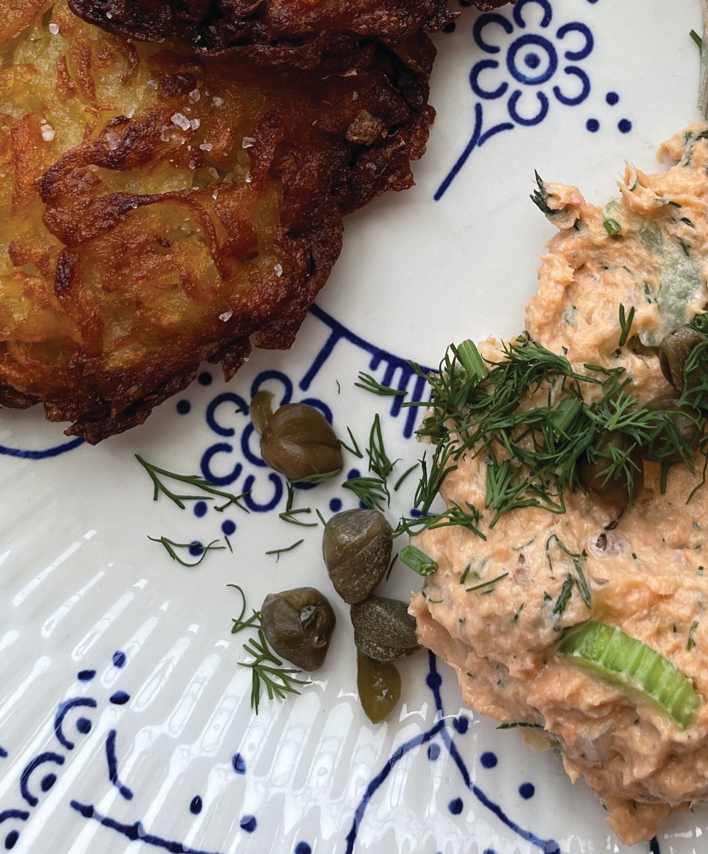 Salmon