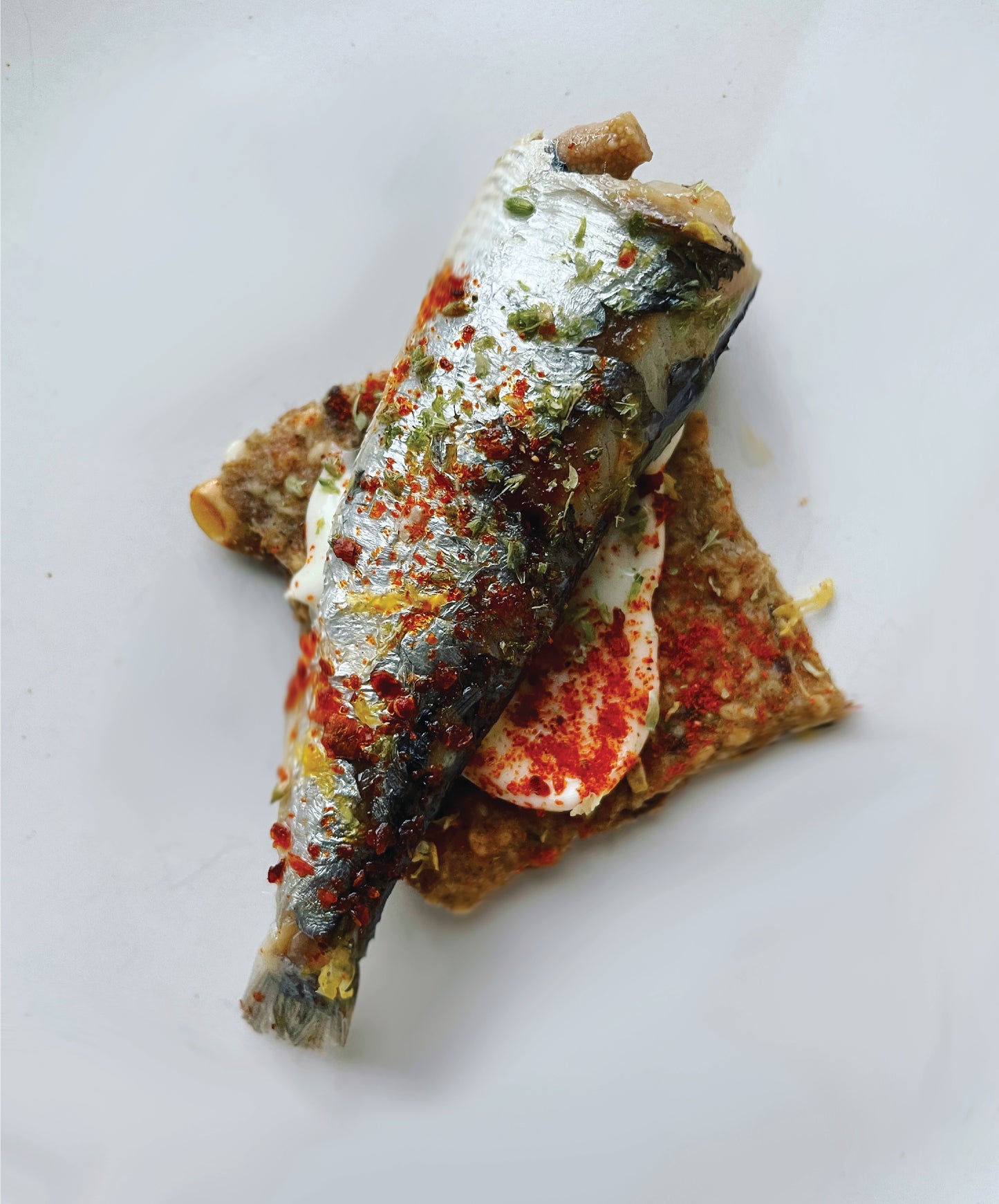 Sardines