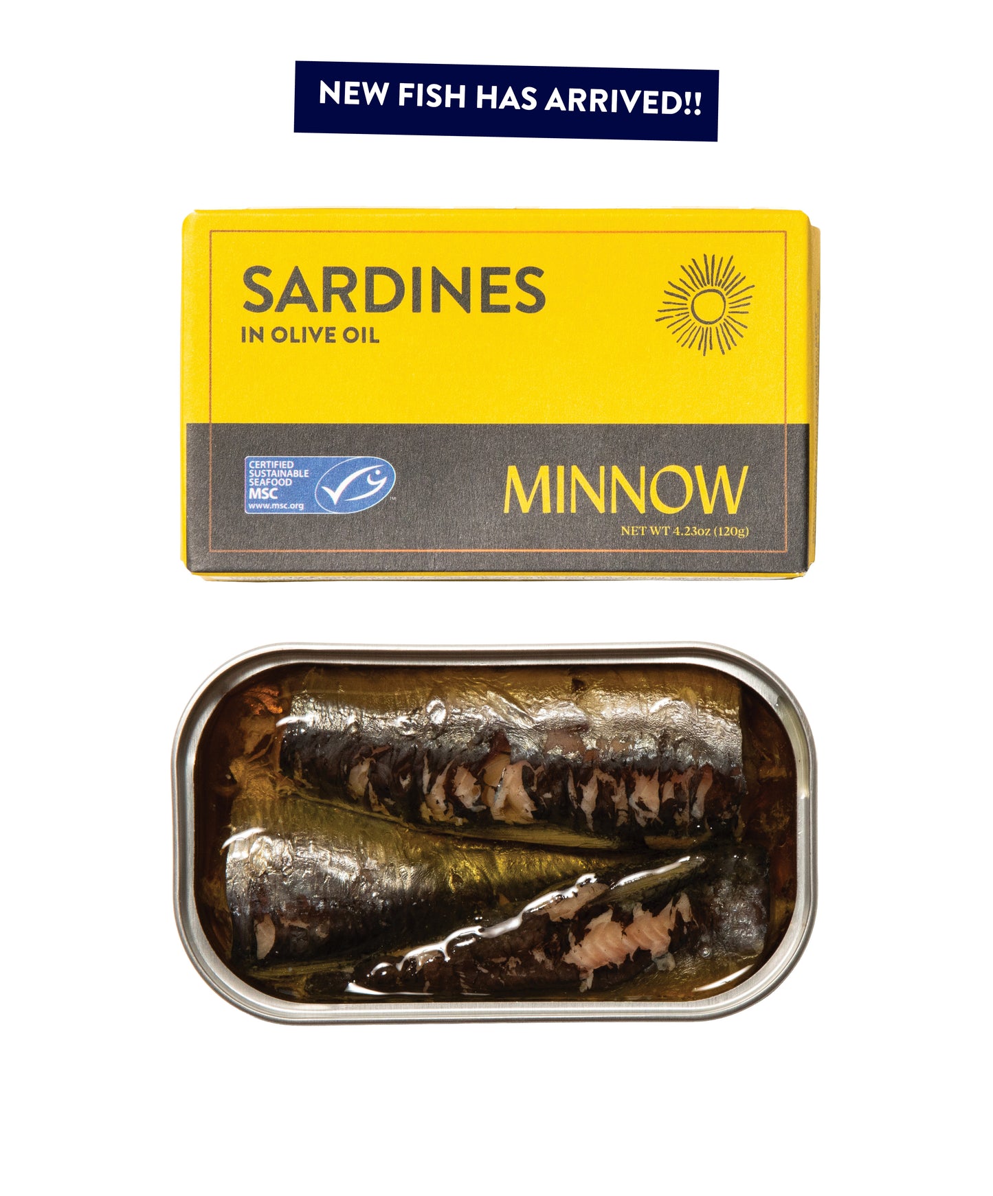 Sardines